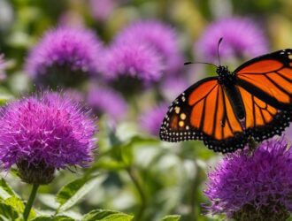 How Native Plants Support Local Wildlife