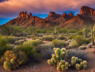 How To Grow Grass In AZ