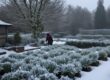 How to Winterize Your Vegetable Garden