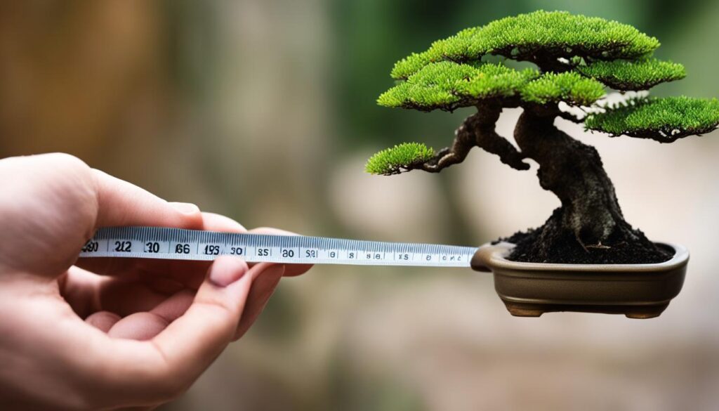 choosing-bonsai-tree-size