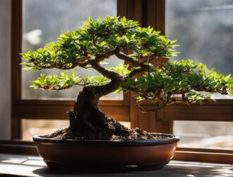 how long can bonsai go without water