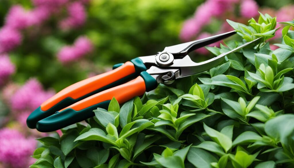 pruning techniques for spring-blooming shrubs