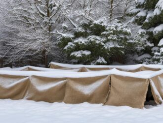 Best Methods to Shield Plants from Winter Damage