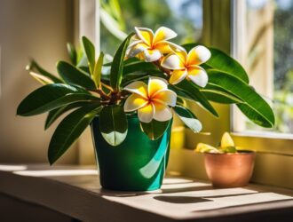 How To Grow Plumeria Indoors