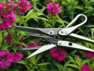 How to Properly Prune Perennials