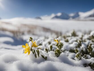 What Is a Tender Perennial?