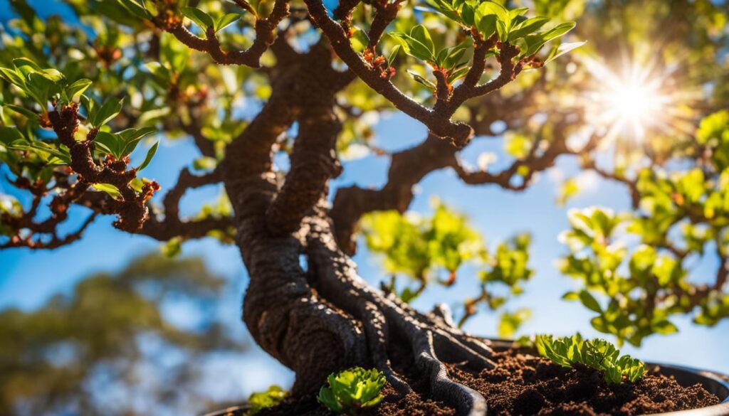 fast-growing bonsai tree