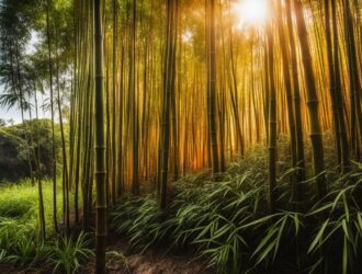 How To Grow Bamboo From Its Orange Roots