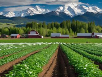 How To Grow Potatoes In Colorado