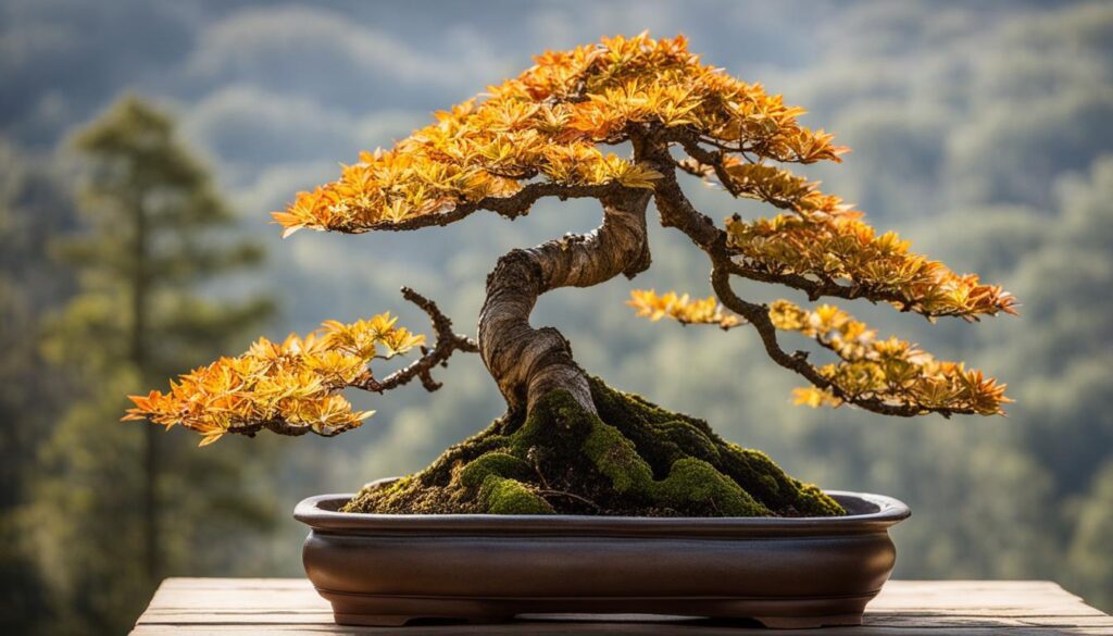Yellowing leaves on bonsai tree