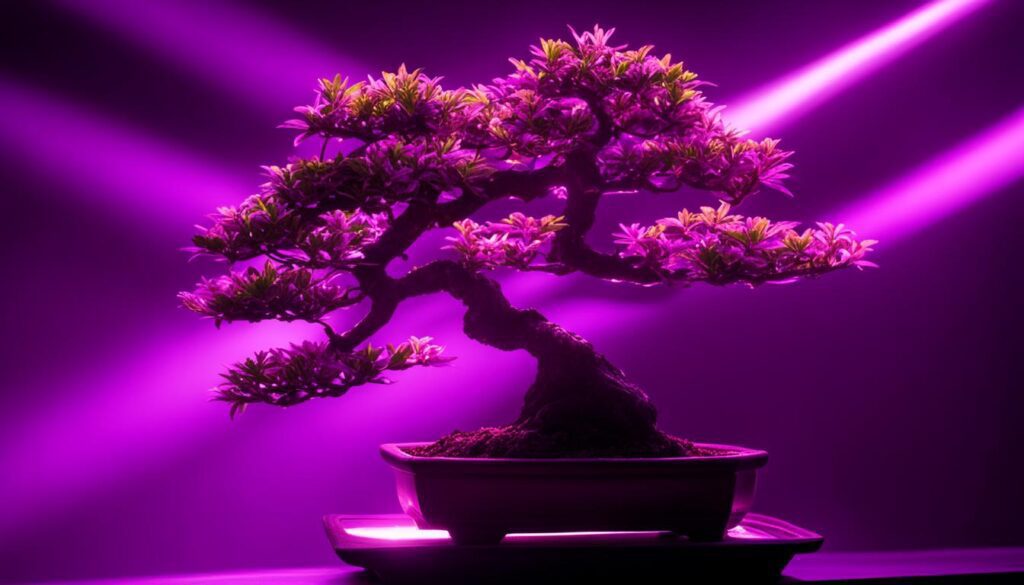 using grow lights for bonsai