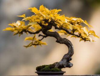 why is my bonsai turning yellow