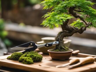 when to prune japanese maple bonsai