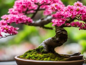 do bonsai trees bloom