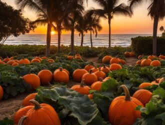 How To Grow Pumpkins In Florida