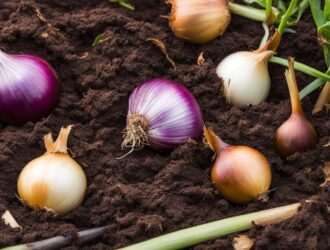 can i compost onions