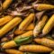 can you compost corn cobs